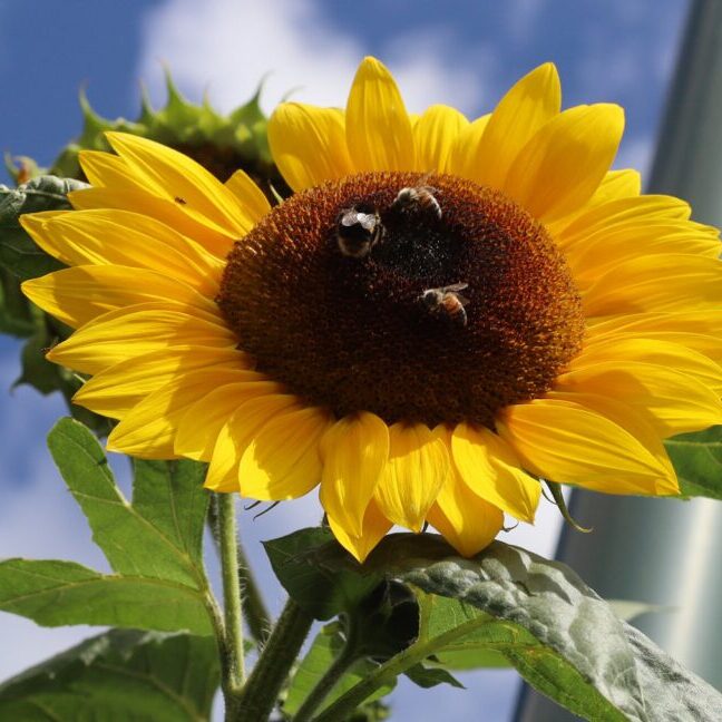 16684143-D62B-4C89-97CB-AB65F8D4786D